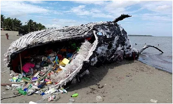 This method of avoiding the dangers of ingesting "microplastics" is used by Chinese people every day!